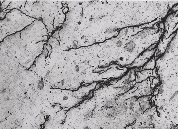 ����304����ֹܱ�������Ӧ����ʴ���ѵ�Ҫ��