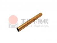 304��ɫ����ֹܳ���