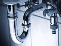 ��������������������ʳ�Ϊˮ�ܵ����ѡ������������������